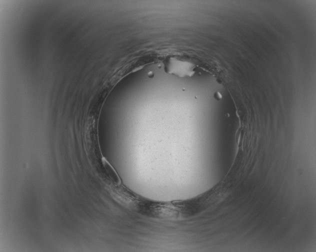 X0000080800229200701051427