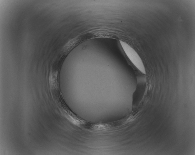 X0000080800239200701051427