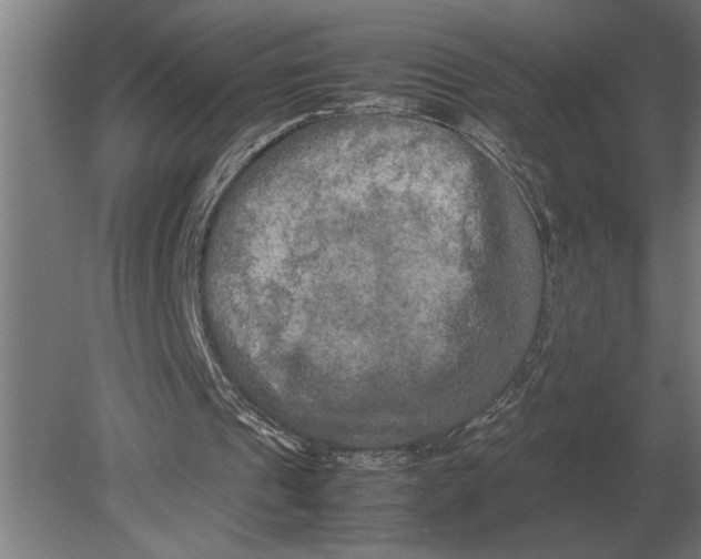 X0000080800241200701051426