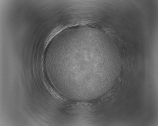 X0000080800242200701051426