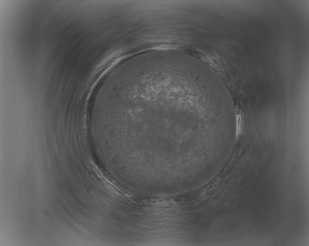 X0000080800243200701051426