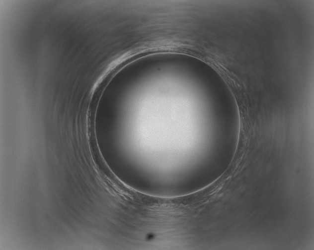 X0000080800244200701051426
