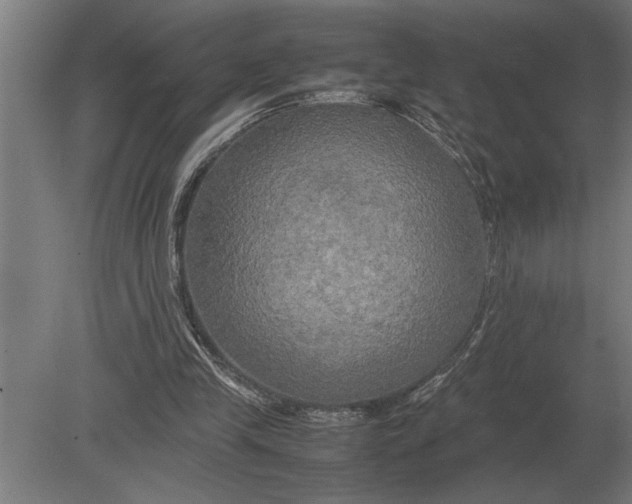 X0000080800245200701051427