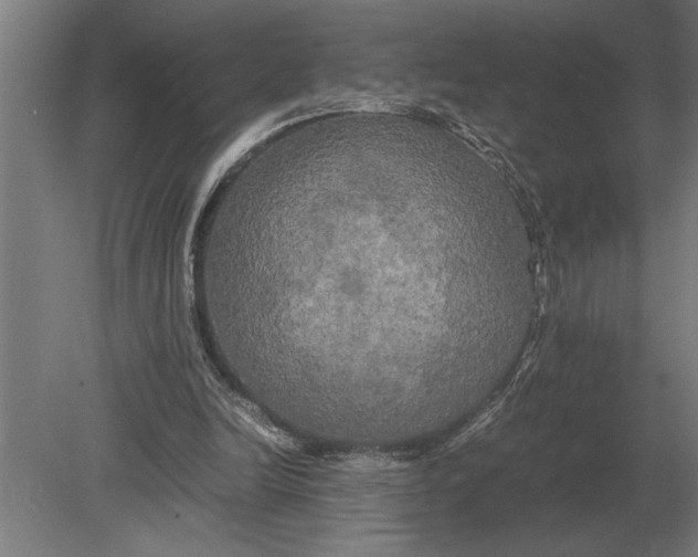 X0000080800246200701051427