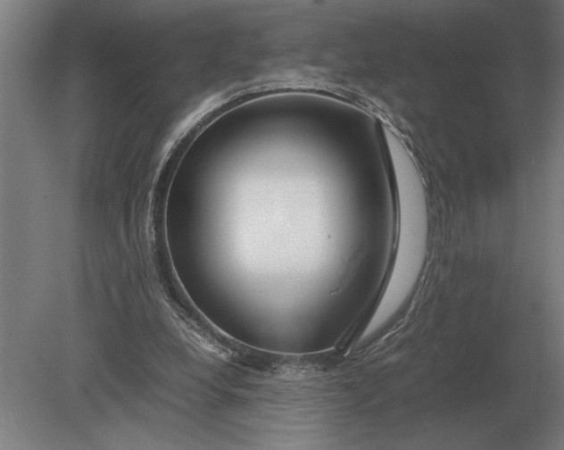 X0000080800248200701051427