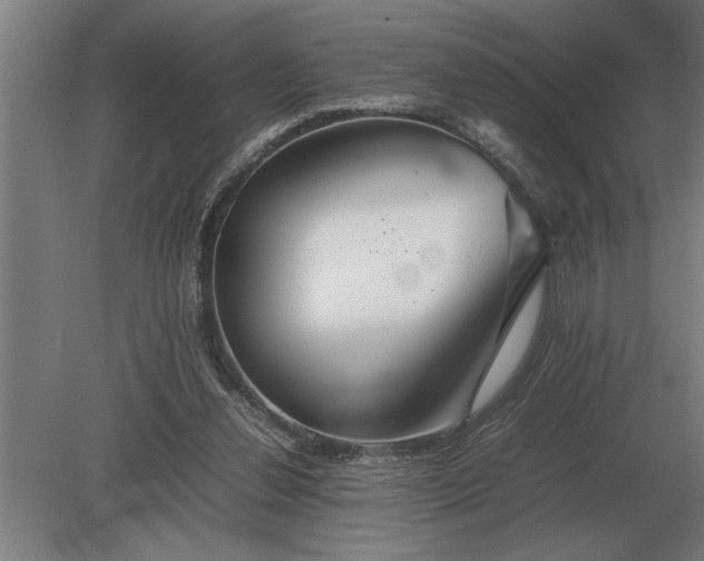 X0000080800252200701051427