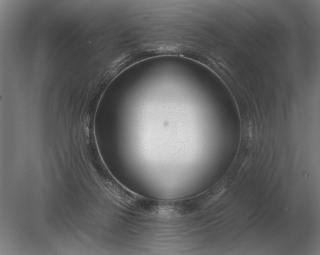 X0000080800264200701051427
