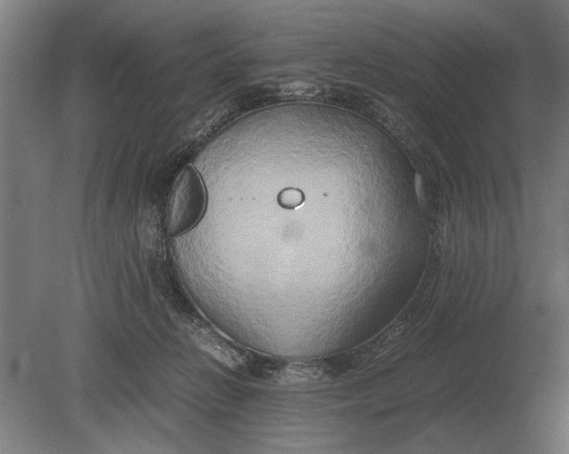 X0000080800270200701051427