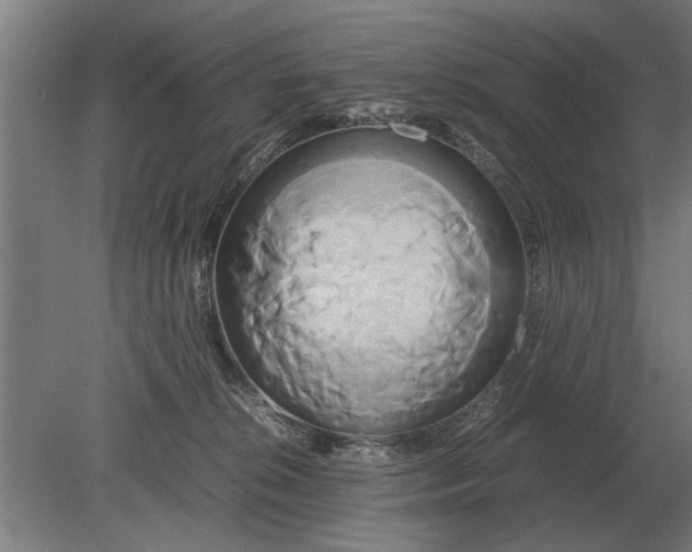 X0000080800276200701051427