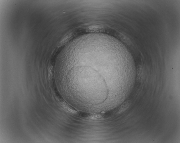 X0000080800278200701051427