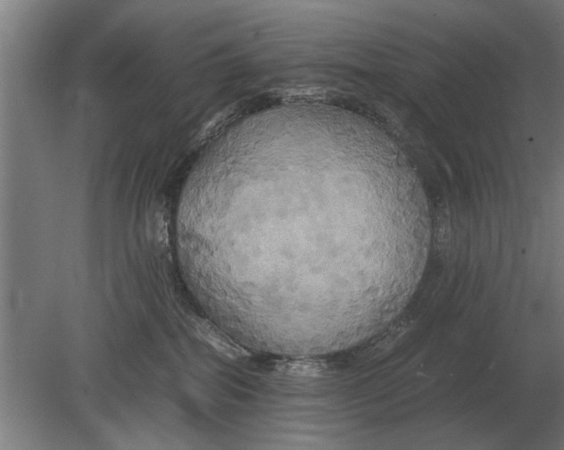 X0000080800282200701051427