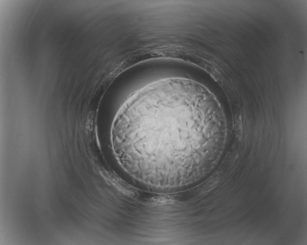 X0000080800284200701051427