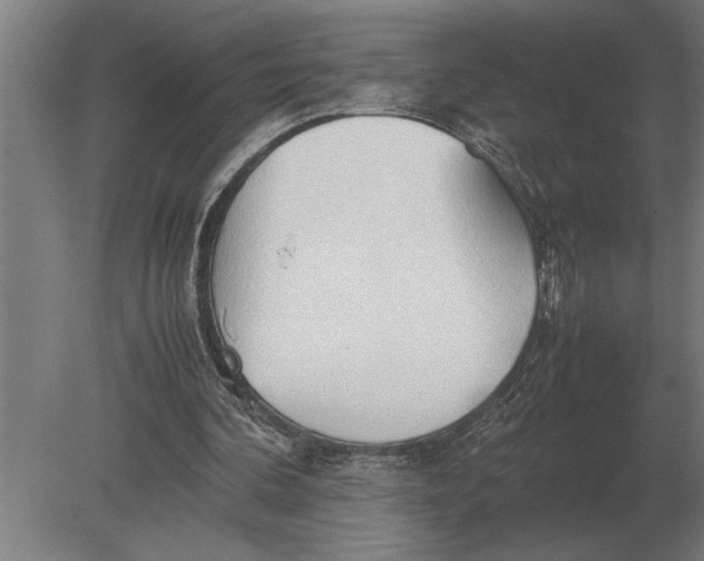 X0000080800292200701051426