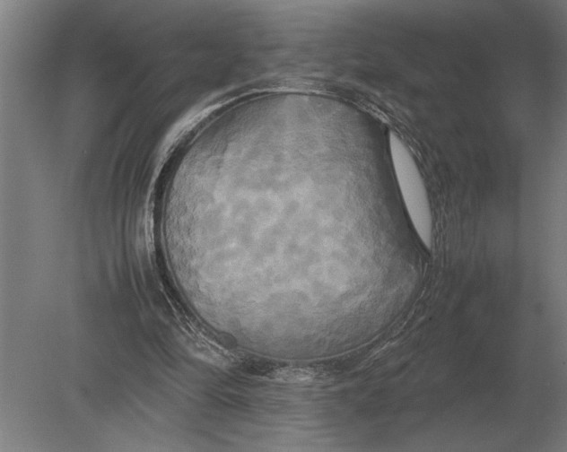X0000080800294200701051426