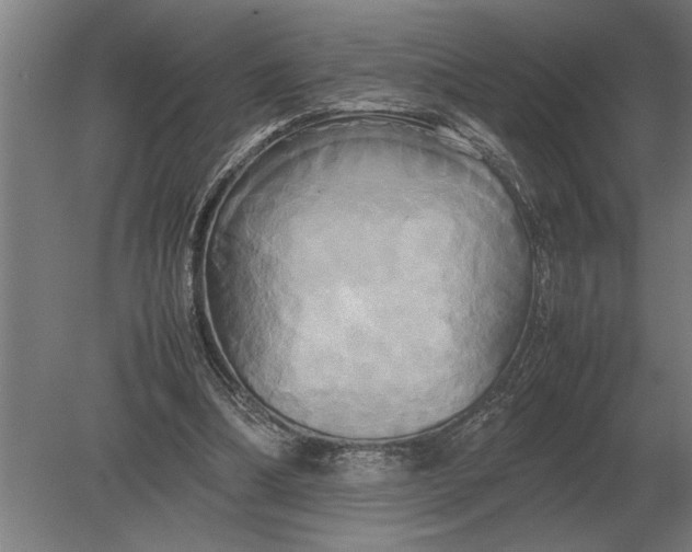 X0000080800298200701051426