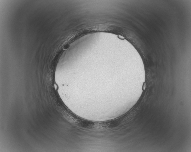 X0000080800305200701051426