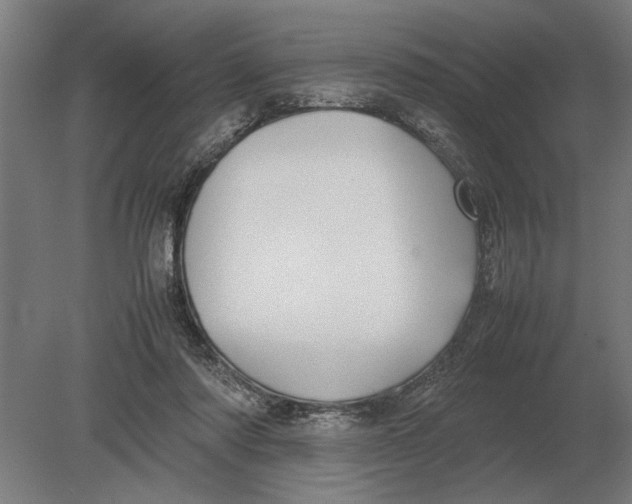X0000080800310200701051426