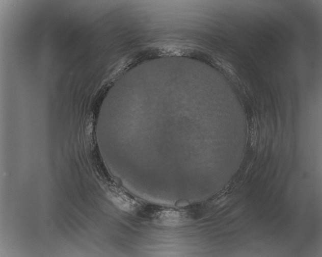 X0000080800314200701051426