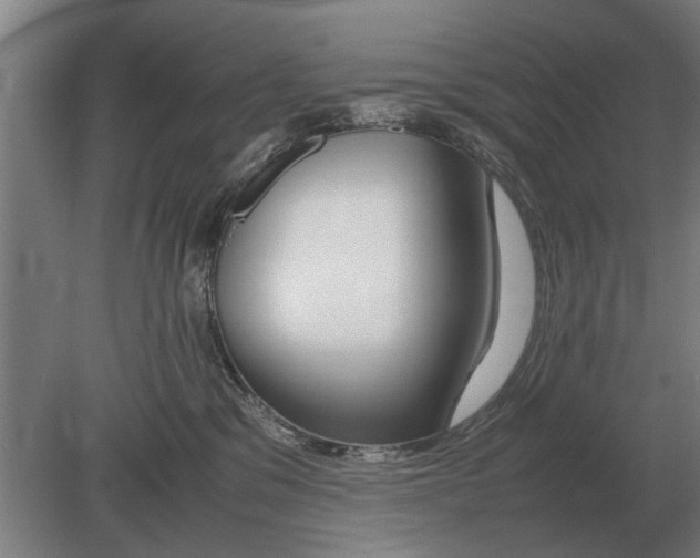 X0000080800329200701051426