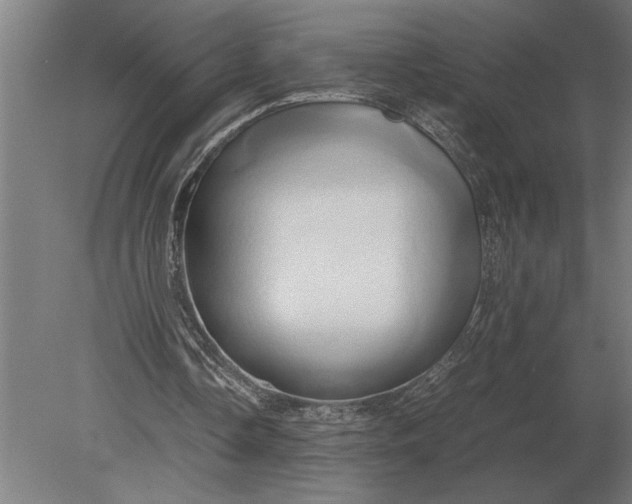 X0000080800338200701051425