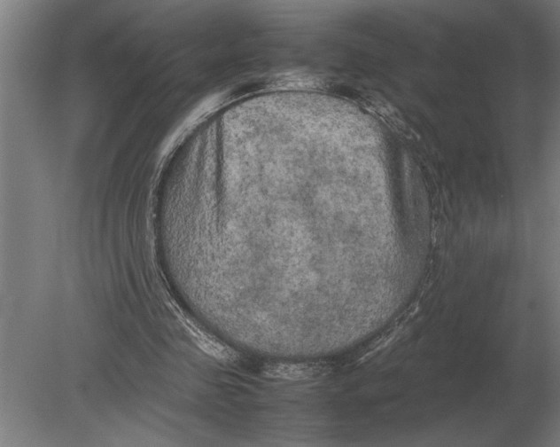 X0000080800341200701051425