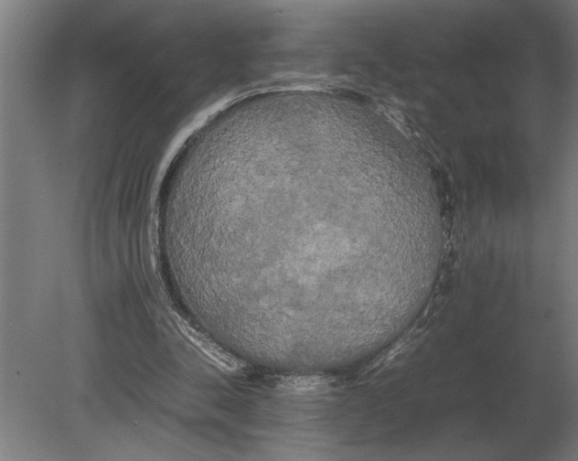 X0000080800342200701051425