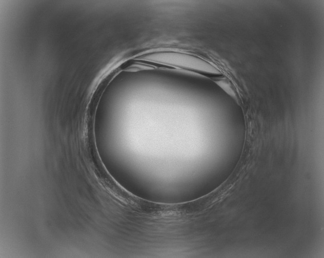 X0000080800344200701051425