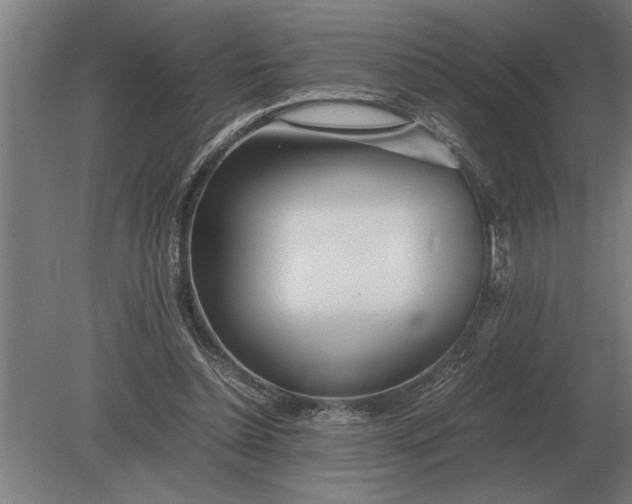 X0000080800348200701051425