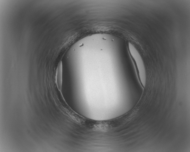 X0000080800362200701051425