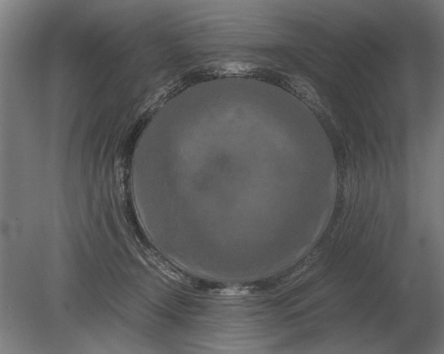 X0000080800366200701051425