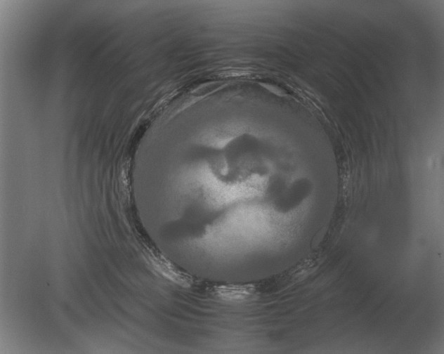 X0000080800373200701051425