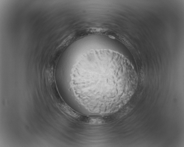 X0000080800376200701051425