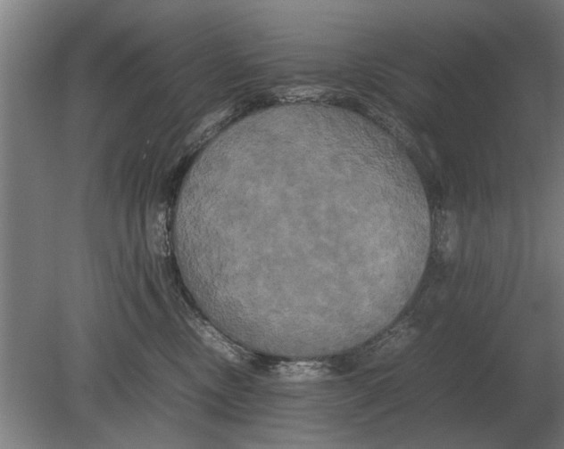 X0000080800378200701051426