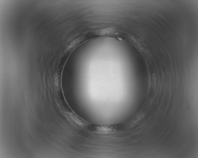 X0000080800380200701051426