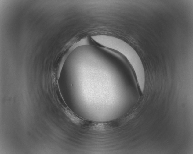 X0000080800382200701051426