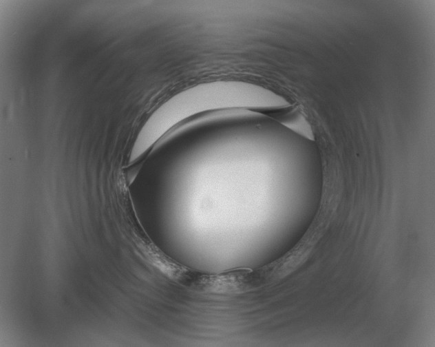 X0000080800384200701051426