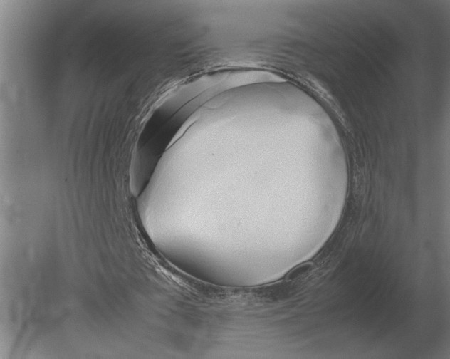 X0000080800385200701051425