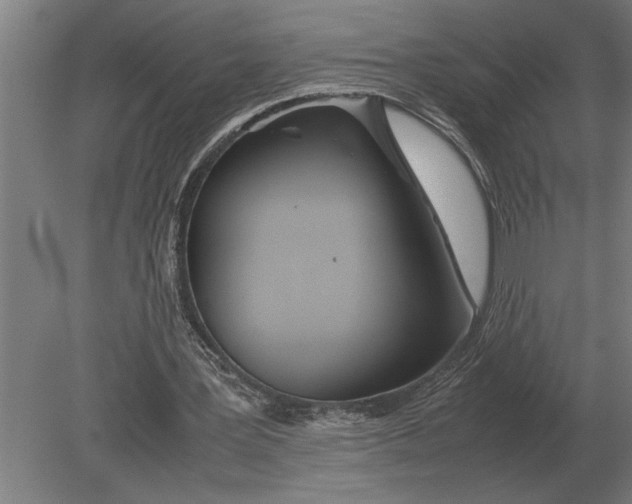 X0000080800387200701051425