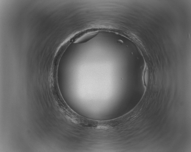 X0000080800388200701051425