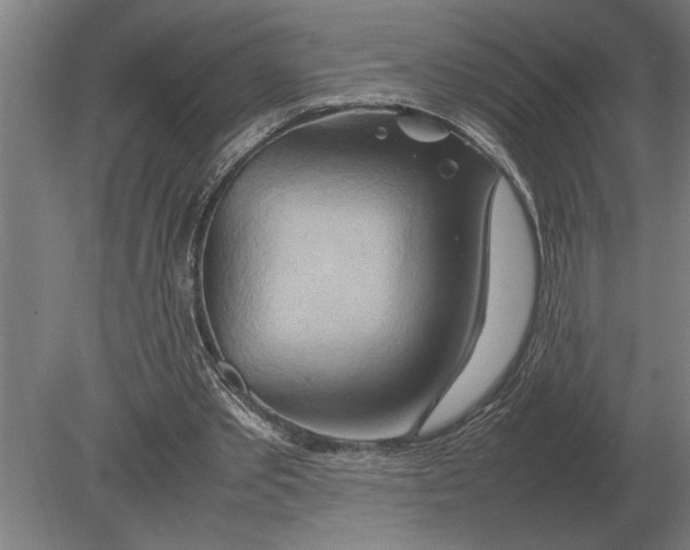 X0000080800389200701051425