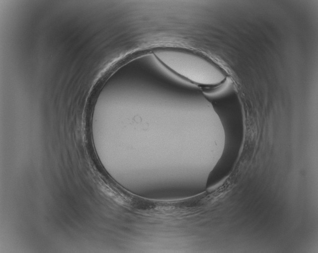 X0000080800391200701051425