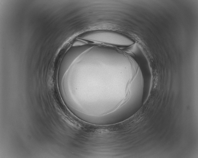 X0000080800392200701051425