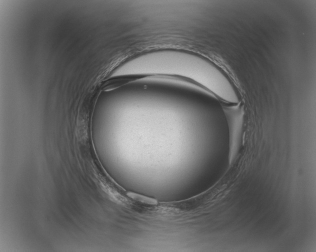 X0000080800393200701051425