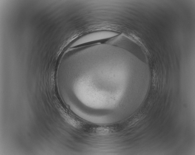 X0000080800394200701051425