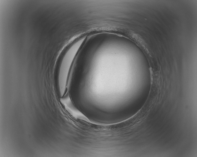 X0000080800395200701051425