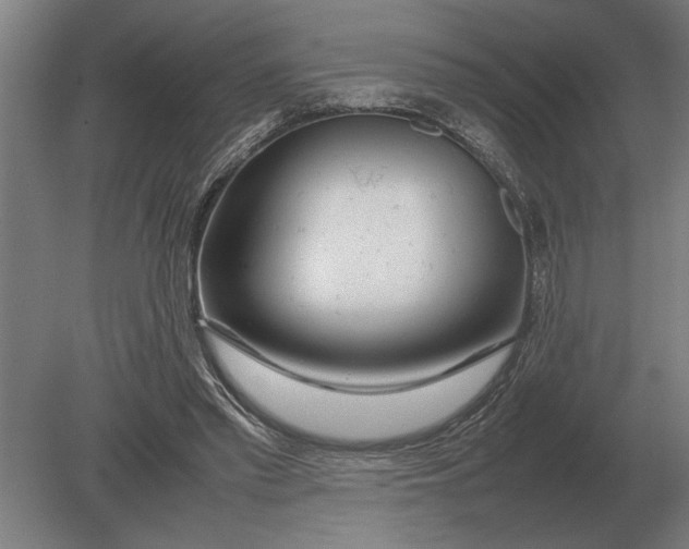 X0000080800397200701051425