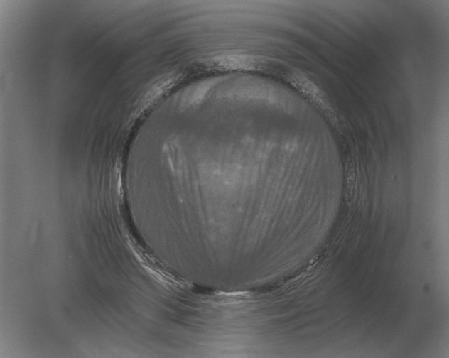 X0000080800398200701051425