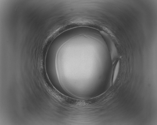X0000080800399200701051425