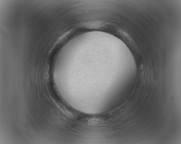 X0000080800400200701051425