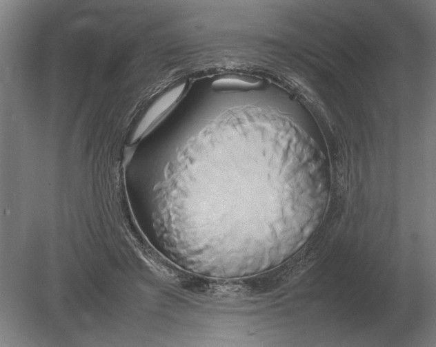 X0000080800401200701051425